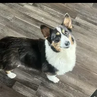 processed/ee71e331-70ba-4121-914a-f342a7b2df2e/facility/1a513b12-008d-4d28-84e3-2bdadd72dc01