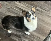 processed/ee71e331-70ba-4121-914a-f342a7b2df2e/facility/1a513b12-008d-4d28-84e3-2bdadd72dc01