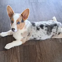 processed/ee71e331-70ba-4121-914a-f342a7b2df2e/facility/8179236f-b967-4856-9bae-7df1fae8a33f