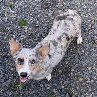 processed/ee71e331-70ba-4121-914a-f342a7b2df2e/facility/92656f43-9df7-476f-b145-948ff7dd93ae