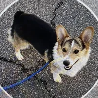 processed/ee71e331-70ba-4121-914a-f342a7b2df2e/facility/ba667fcb-be79-4bc5-89f1-6e1c95056037