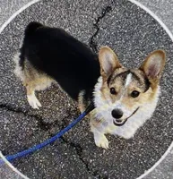 processed/ee71e331-70ba-4121-914a-f342a7b2df2e/facility/ba667fcb-be79-4bc5-89f1-6e1c95056037