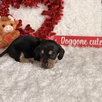 processed/ee71e331-70ba-4121-914a-f342a7b2df2e/facility/ebe4d5fb-d258-402b-9a96-3d2f9c0ad72b