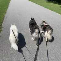 processed/ee7f4f6b-45d8-45e8-bfb9-96a253631778/facility/1b45855d-3a14-4113-965e-45e727877be9