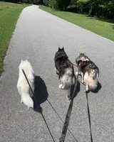 processed/ee7f4f6b-45d8-45e8-bfb9-96a253631778/facility/1b45855d-3a14-4113-965e-45e727877be9