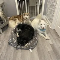 processed/ee7f4f6b-45d8-45e8-bfb9-96a253631778/facility/1f843cf8-4c5a-482f-8d67-e52e5e2c1980