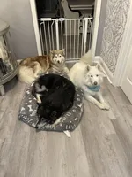 processed/ee7f4f6b-45d8-45e8-bfb9-96a253631778/facility/1f843cf8-4c5a-482f-8d67-e52e5e2c1980