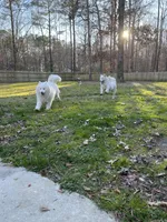 processed/ee7f4f6b-45d8-45e8-bfb9-96a253631778/facility/35a3d8c8-c8fd-4ea3-8817-ebd91c658a9d