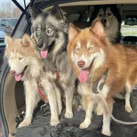 processed/ee7f4f6b-45d8-45e8-bfb9-96a253631778/facility/596bc19c-26a9-4296-a6eb-2874017b8689