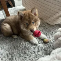 processed/ee7f4f6b-45d8-45e8-bfb9-96a253631778/facility/8f03b4a1-bf56-4def-afed-bea137fcba7d