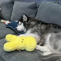 processed/ee7f4f6b-45d8-45e8-bfb9-96a253631778/facility/a8aae538-9d9b-4b9c-9f79-45a63d394f4e