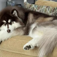 processed/ee7f4f6b-45d8-45e8-bfb9-96a253631778/facility/c251b72d-dcae-4541-845d-23aadb2a3c08