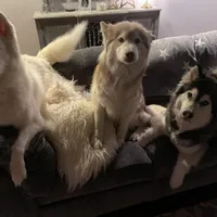 processed/ee7f4f6b-45d8-45e8-bfb9-96a253631778/facility/c44e895d-7d80-4cbf-a3e0-acc4df74d2cf