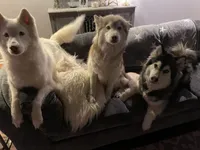 processed/ee7f4f6b-45d8-45e8-bfb9-96a253631778/facility/c44e895d-7d80-4cbf-a3e0-acc4df74d2cf