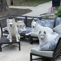 processed/ee7f4f6b-45d8-45e8-bfb9-96a253631778/facility/d02d7d3f-1b4a-4b66-9b2d-0146d76e3965