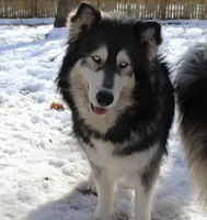 processed/ee7f4f6b-45d8-45e8-bfb9-96a253631778/listing/1a5f3d91-7ec6-42c6-8992-d3f1c9b0c34e/ceb0c40c-140a-4920-904f-75a572cc838c