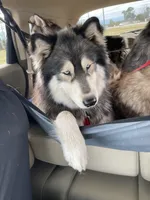 processed/ee7f4f6b-45d8-45e8-bfb9-96a253631778/listing/1a5f3d91-7ec6-42c6-8992-d3f1c9b0c34e/ef27e4fa-a19b-4669-93e9-7c2e29fb162e