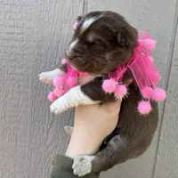 processed/ee7f4f6b-45d8-45e8-bfb9-96a253631778/listing/e0600f58-9667-498e-afec-9614d3d5b2e9/637fd3db-9155-4367-bfa6-1318d12a2b3b