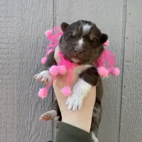 processed/ee7f4f6b-45d8-45e8-bfb9-96a253631778/listing/e0600f58-9667-498e-afec-9614d3d5b2e9/809d760e-3c50-46ac-829e-d7356c8b15ea