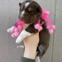 processed/ee7f4f6b-45d8-45e8-bfb9-96a253631778/listing/e0600f58-9667-498e-afec-9614d3d5b2e9/95529bf6-7b10-40ba-b85a-91d426570a39