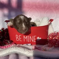 processed/ee7f4f6b-45d8-45e8-bfb9-96a253631778/listing/e0600f58-9667-498e-afec-9614d3d5b2e9/a23f0ef1-00df-42cd-93f1-b8e674237118