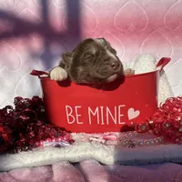 processed/ee7f4f6b-45d8-45e8-bfb9-96a253631778/listing/e0600f58-9667-498e-afec-9614d3d5b2e9/b8c19b19-814a-4945-949c-8bf8055ec20c