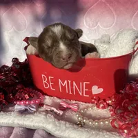 processed/ee7f4f6b-45d8-45e8-bfb9-96a253631778/listing/e0600f58-9667-498e-afec-9614d3d5b2e9/c5de8bce-9118-4c49-aad1-4195cc2dd78d