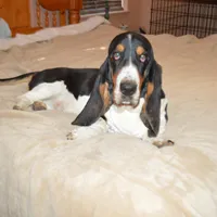 processed/ee821852-fc3b-41ed-830a-f94cfbead491/facility/4c7e0ded-613b-4ac0-a867-60901229c271