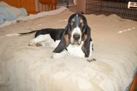 processed/ee821852-fc3b-41ed-830a-f94cfbead491/facility/4c7e0ded-613b-4ac0-a867-60901229c271