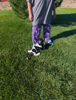 Male 7, a male Basset Hound for sale in Jerome, ID – 3 of 6