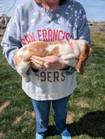 Female 3, a female Basset Hound for sale in Jerome, ID – Photo 3 of 6