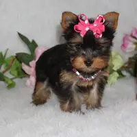 processed/ee83bb33-9490-4ced-b86d-aac5409b6681/facility/1f14f25d-47fc-4d6c-9634-9e512af7275f