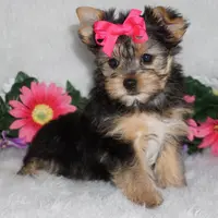 processed/ee83bb33-9490-4ced-b86d-aac5409b6681/facility/3bc5a478-e5c6-4e7a-8792-28b06ab65e86