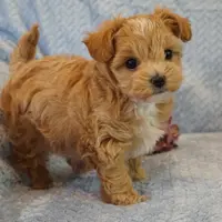 processed/ee83bb33-9490-4ced-b86d-aac5409b6681/facility/4dc13d97-259a-4714-bfa6-eec8eb66309d