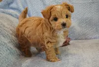 processed/ee83bb33-9490-4ced-b86d-aac5409b6681/facility/4dc13d97-259a-4714-bfa6-eec8eb66309d