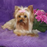 processed/ee83bb33-9490-4ced-b86d-aac5409b6681/facility/5d4eae70-79a2-4e71-a089-0f3e98b20e1b