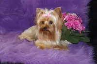 processed/ee83bb33-9490-4ced-b86d-aac5409b6681/facility/5d4eae70-79a2-4e71-a089-0f3e98b20e1b