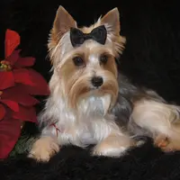 processed/ee83bb33-9490-4ced-b86d-aac5409b6681/facility/6064ab9c-4253-4841-b299-183768c6c56f