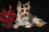 processed/ee83bb33-9490-4ced-b86d-aac5409b6681/facility/6064ab9c-4253-4841-b299-183768c6c56f