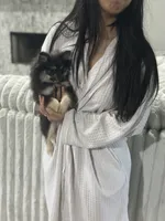 Berry, a female Pomeranian for sale in Bastrop, TX – 10 of 10