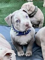 processed/ee873ea2-97a6-49b6-8ae1-1bb8bd9935a3/listing/57f16fd3-8962-48be-abe7-8971f3e70969/240eaf06-4339-473b-91ff-87e6413be6cc