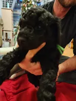 processed/ee882a4c-3ba1-428f-ba4c-79c86aee7cf5/listing/4d69786f-ea6b-4f02-976b-c265be33e22b/6dfb819e-bf38-4645-b41d-fe78cb7b24b4