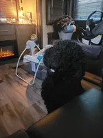 processed/ee882a4c-3ba1-428f-ba4c-79c86aee7cf5/listing/4d69786f-ea6b-4f02-976b-c265be33e22b/ceaf075d-749f-417e-b985-f4dac5e346ae