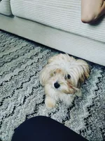 processed/ee91743a-68aa-4bab-b26b-da934bf9c452/listing/0b472821-bce2-4ea7-ac43-f6d8eb3d071a/205b54e6-d33f-441e-a2d2-39a63fbd31b4