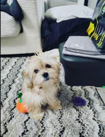 processed/ee91743a-68aa-4bab-b26b-da934bf9c452/listing/0b472821-bce2-4ea7-ac43-f6d8eb3d071a/43f3d65d-897d-4866-97c7-a5b8eb2b394e