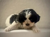 processed/ee9deb1c-709d-4ece-bceb-fd30d2d72a53/listing/e79f2031-1664-410b-a8ec-30e9757ddf51/3f65f066-720b-4d12-b6e5-fcc92244c63f