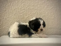 processed/ee9deb1c-709d-4ece-bceb-fd30d2d72a53/listing/e79f2031-1664-410b-a8ec-30e9757ddf51/410352f3-39a7-4571-9e68-4dd5a190e90f