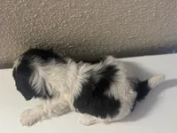 processed/ee9deb1c-709d-4ece-bceb-fd30d2d72a53/listing/e79f2031-1664-410b-a8ec-30e9757ddf51/94c43a01-3e72-4bb8-972f-42618c9b9730