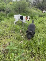 processed/eea0282a-4384-4b33-89f9-e1042630f6f5/facility/15316dea-feac-4016-afa8-378d745fa6a2