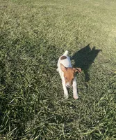 processed/eea0282a-4384-4b33-89f9-e1042630f6f5/facility/2d2d940d-7338-4b5f-8153-7f5f328f65c1